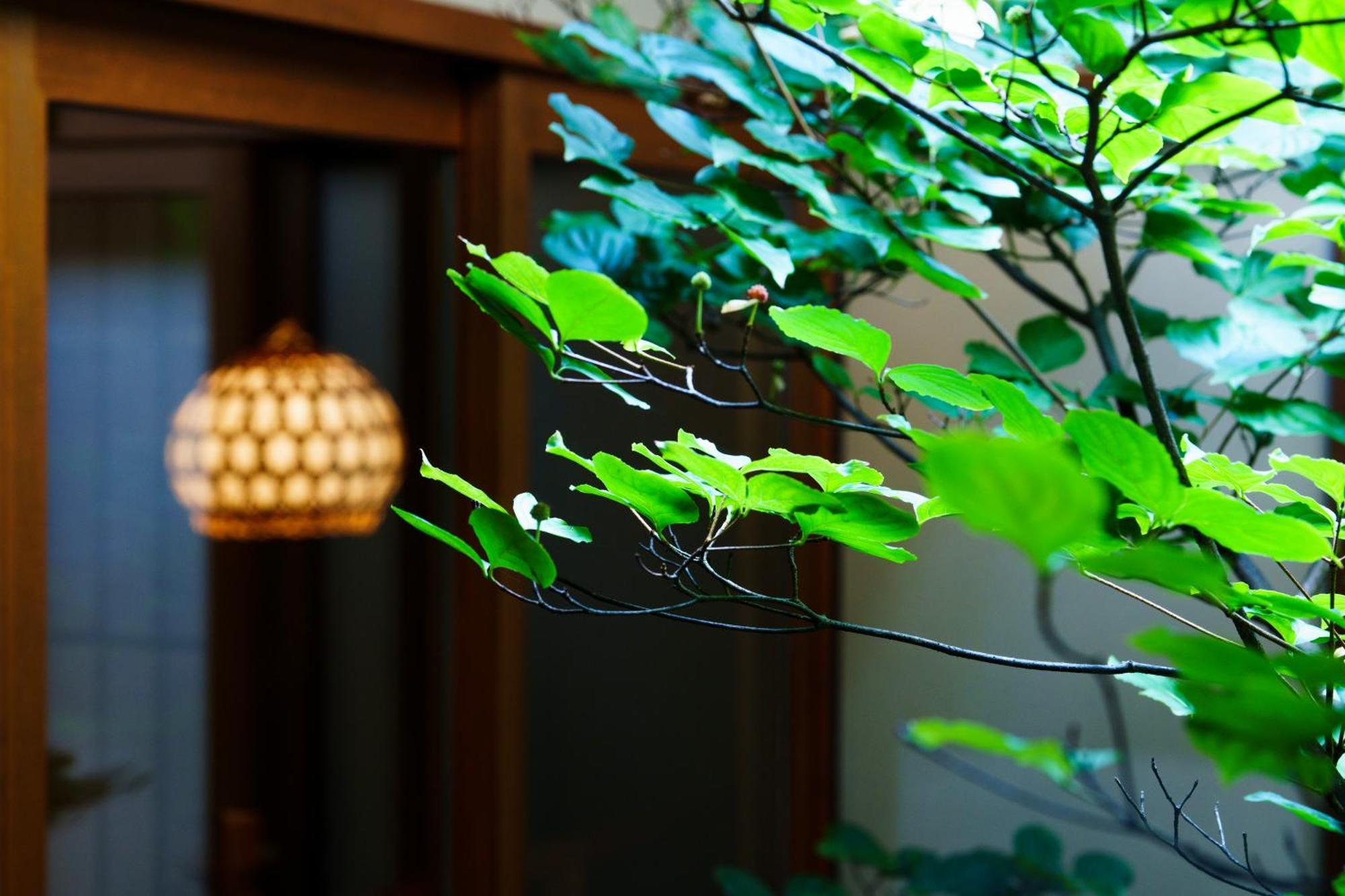 Hotori Villa เกียวโต ภายนอก รูปภาพ